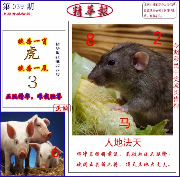039期新精华报报[图]